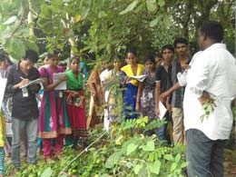 Two day training on Identification and uses of Medicinal plants for Govt. Degree Collage Students